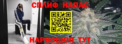 амф Гусиноозёрск