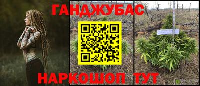 первитин Гусев