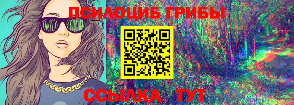 Галлюциногенные грибы Psilocybine cubensis Нижневартовск