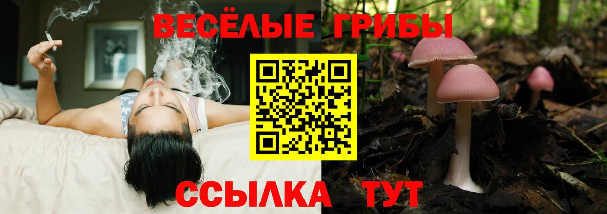 Нижневартовск  Псилоцибиновые грибы Cubensis  Вход с VPN 